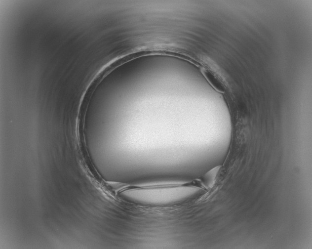 X0000073830932200608311905