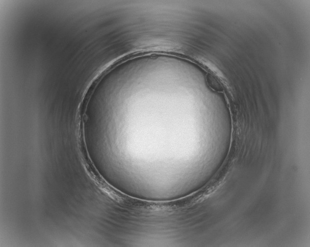 X0000073830933200608311905