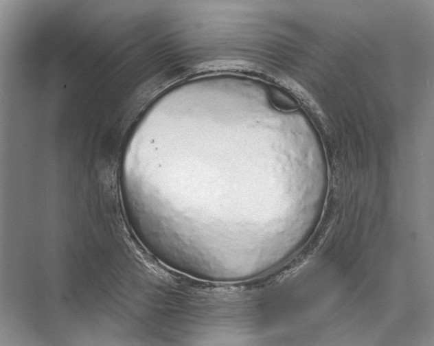 X0000073830937200608311905