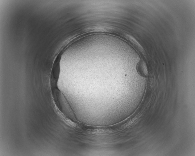 X0000073830938200608311905