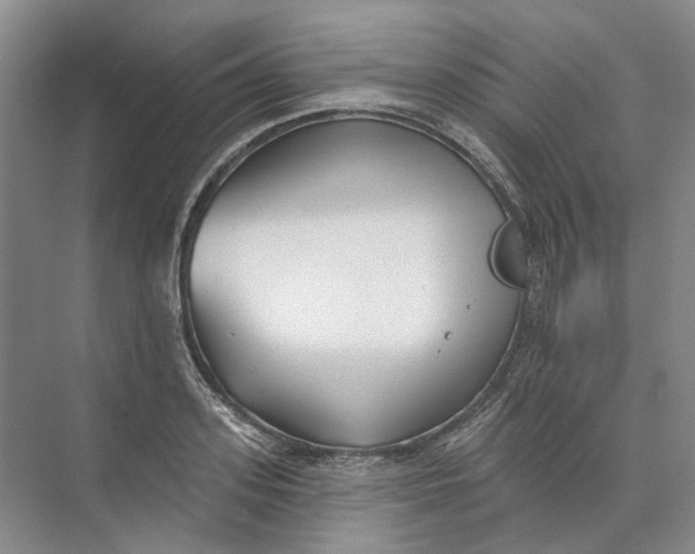 X0000073830939200608311905