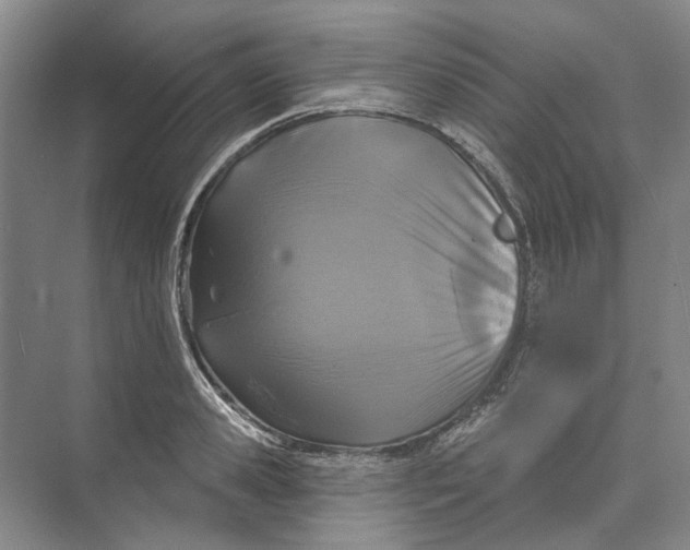 X0000073830941200608311905