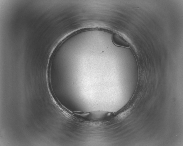 X0000073830943200608311905