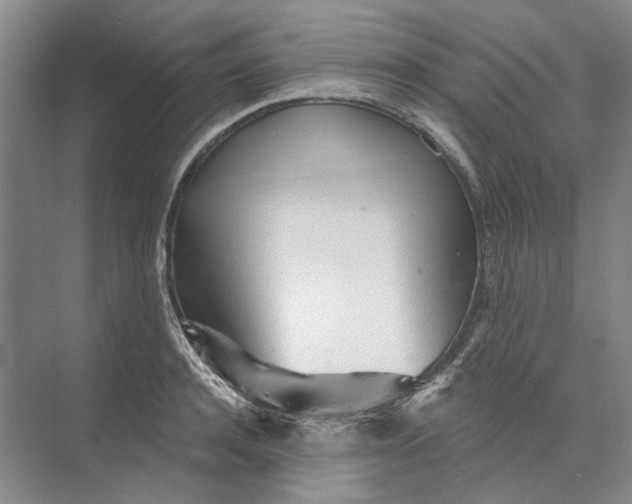 X0000073830944200608311905