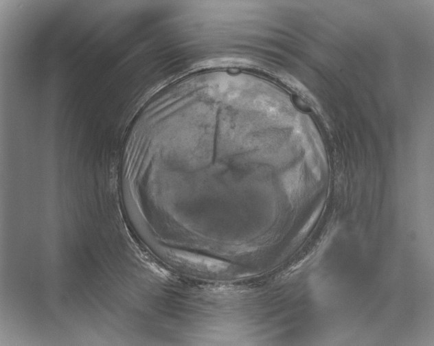 X0000073830945200608311905