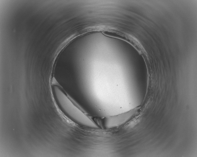 X0000073830946200608311905