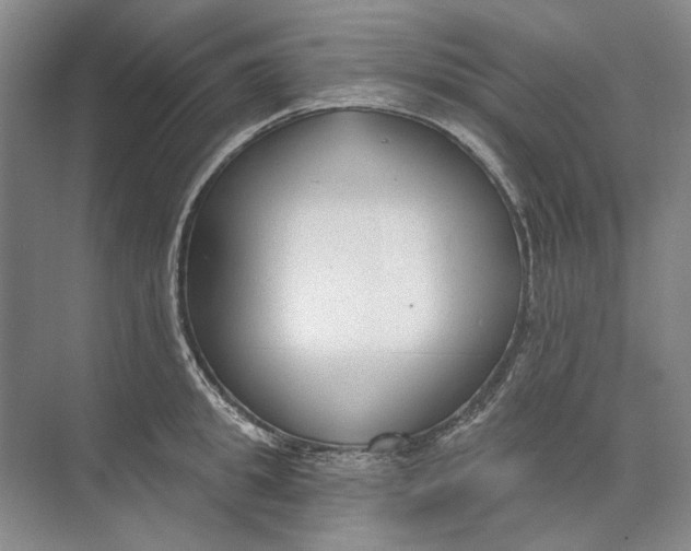 X0000073830949200608311905