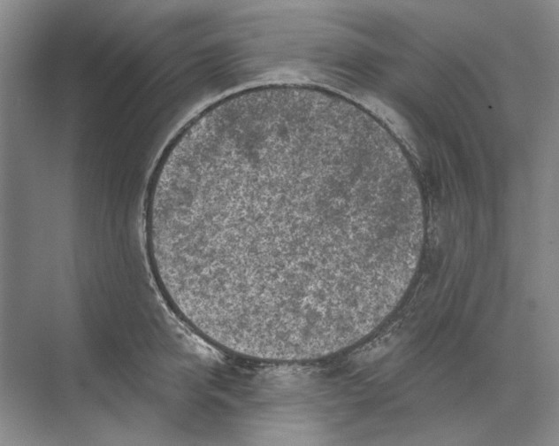 X0000073830950200608311905