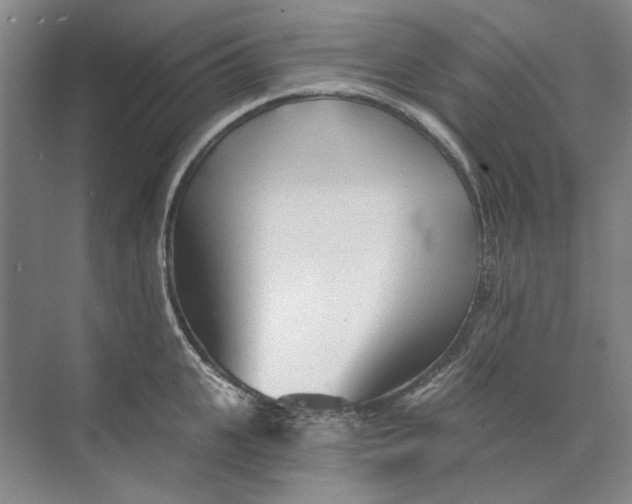 X0000073830951200608311905