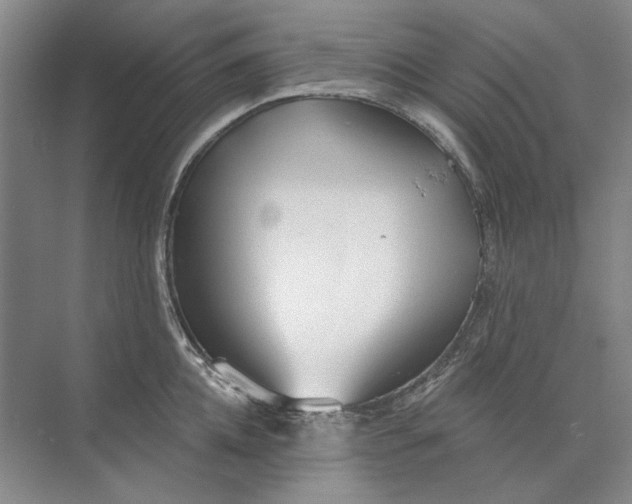 X0000073830952200608311905