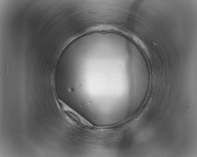 X0000073830953200608311905