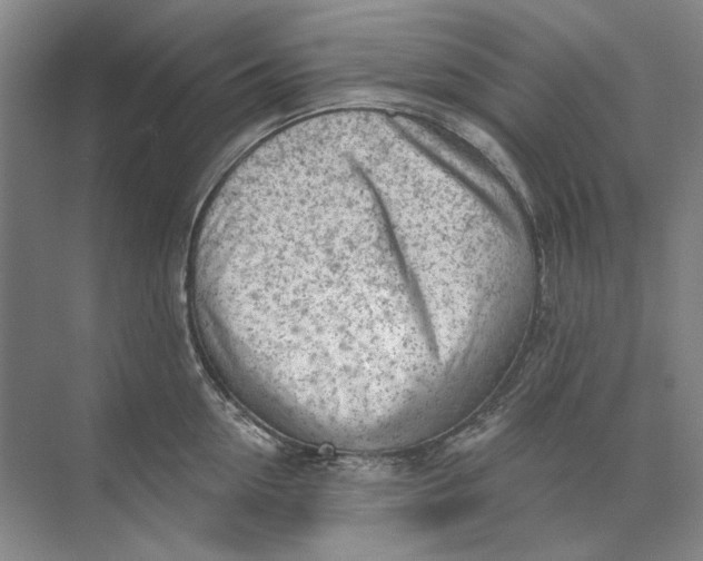 X0000073830954200608311905