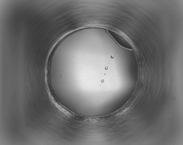 X0000073830955200608311905