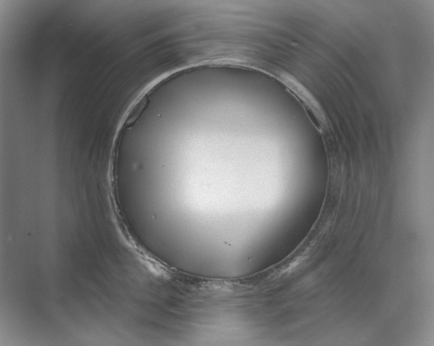 X0000073830956200608311905