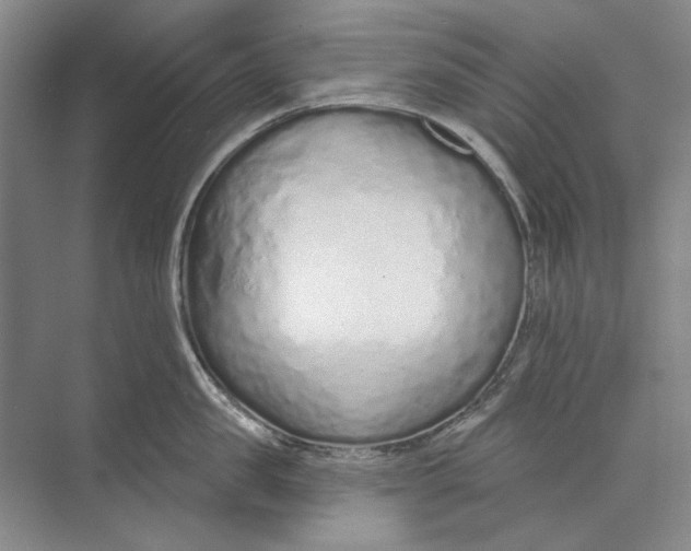 X0000073830957200608311905