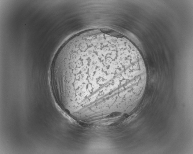 X0000073830958200608311905