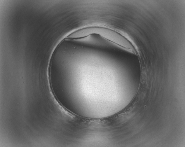 X0000073830959200608311905