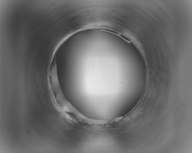 X0000073830960200608311905