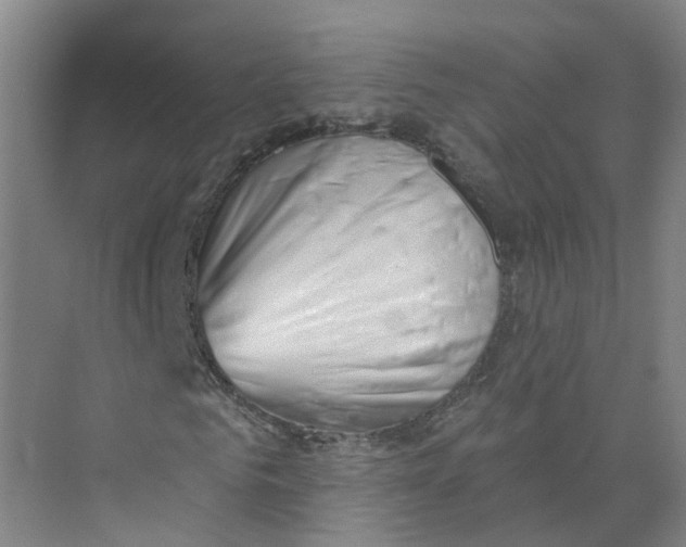 X0000073830961200608311904