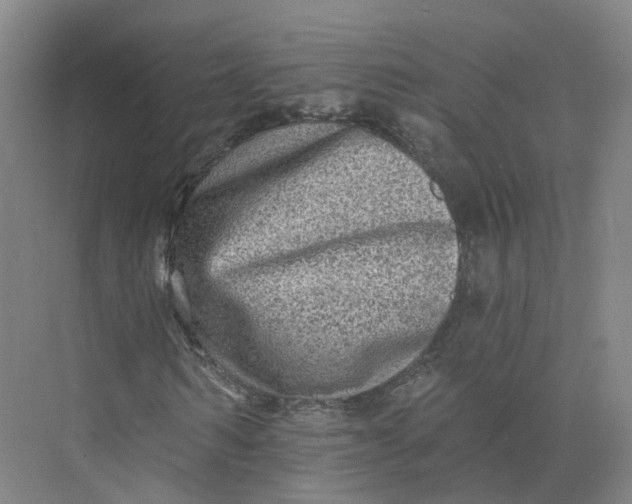 X0000073830962200608311904