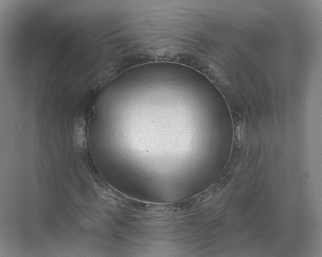 X0000073830963200608311904