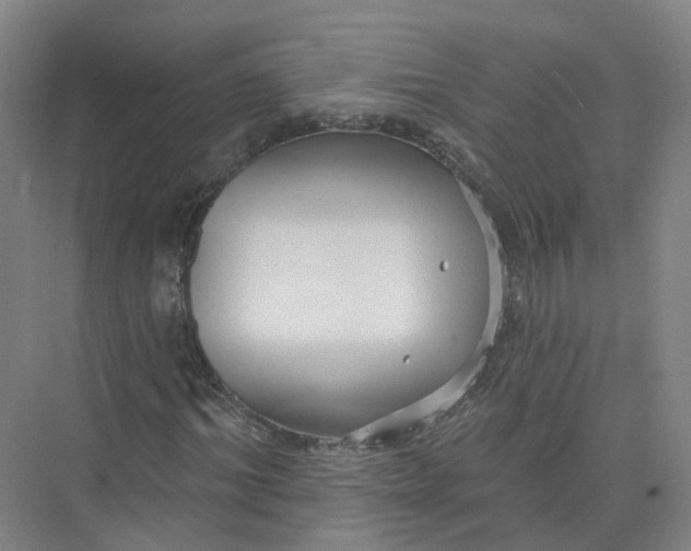 X0000073830964200608311904