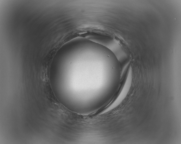 X0000073830965200608311904