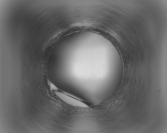 X0000073830967200608311904