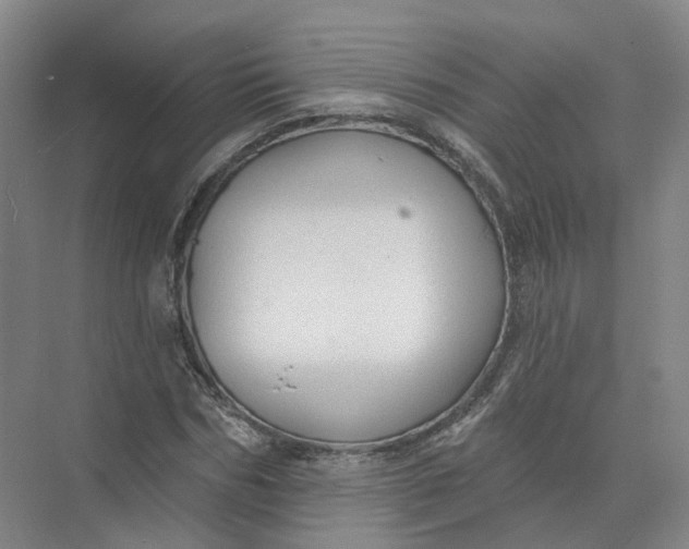 X0000073830970200608311904