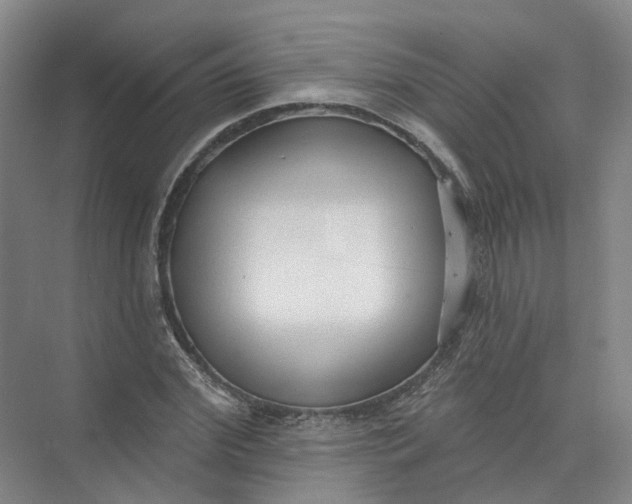 X0000073830972200608311904