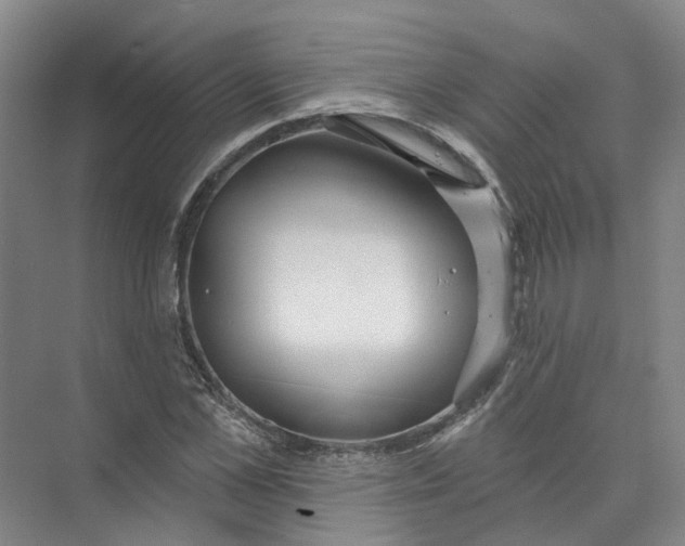 X0000073830973200608311904