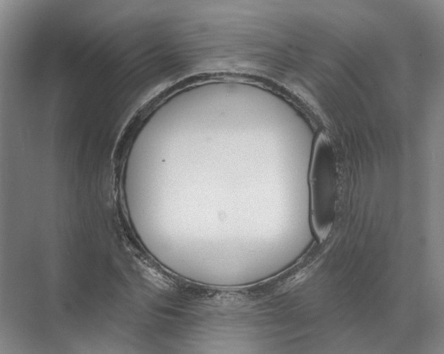 X0000073830974200608311904