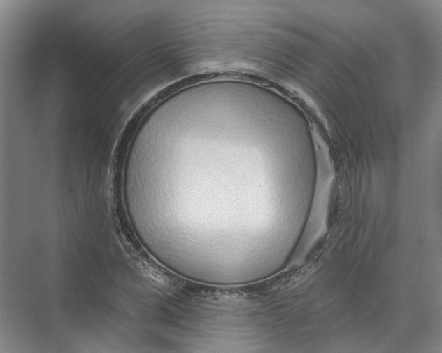 X0000073830975200608311904