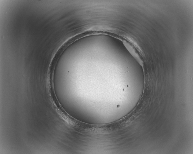 X0000073830976200608311904