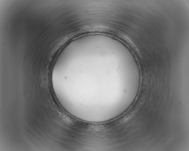 X0000073830978200608311904