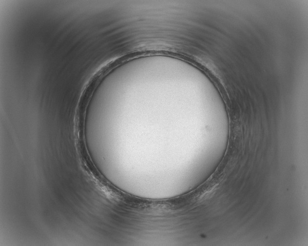 X0000073830979200608311904