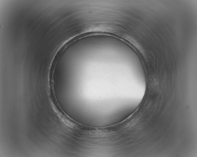 X0000073830980200608311904