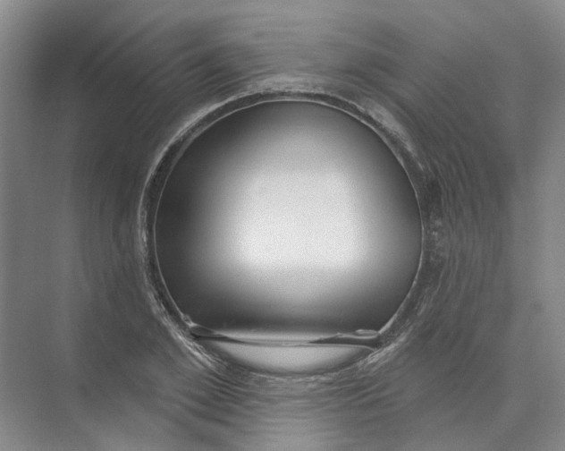 X0000073830981200608311904