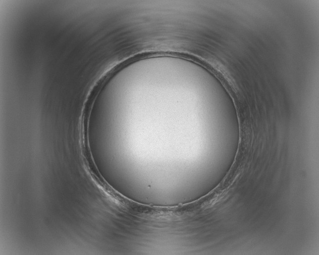 X0000073830982200608311904