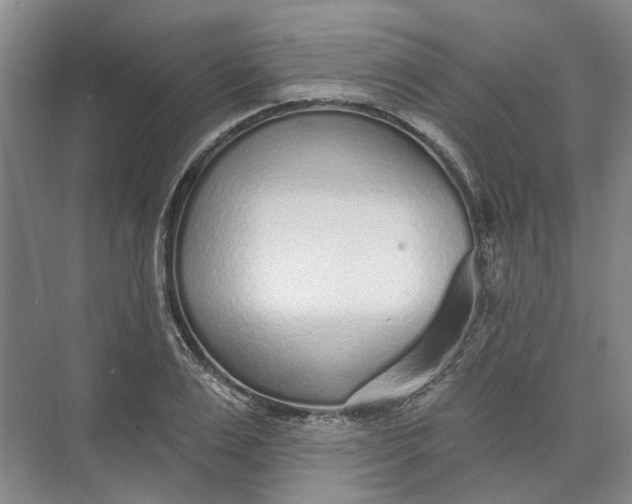 X0000073830983200608311904