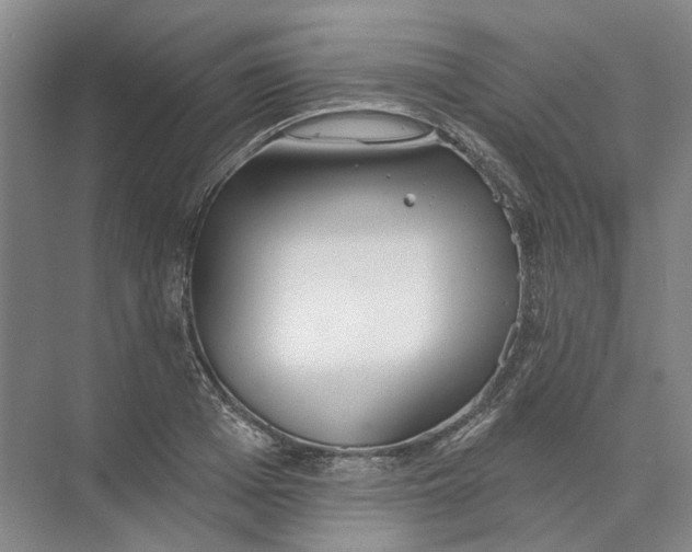 X0000073830985200608311904