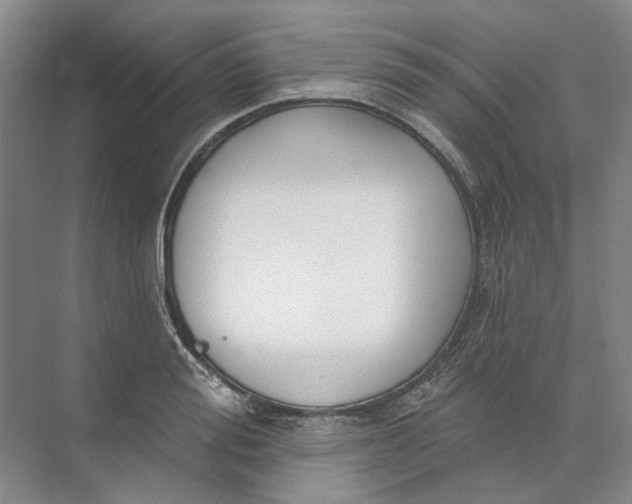 X0000073830988200608311904