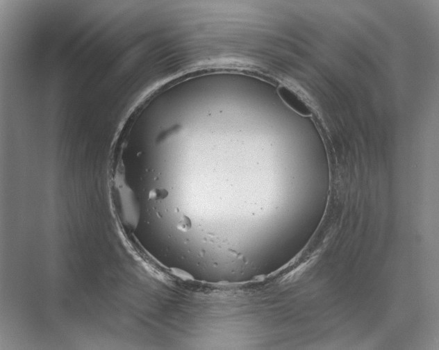 X0000073830989200608311904