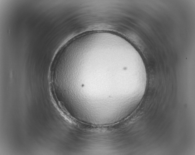 X0000073830990200608311904