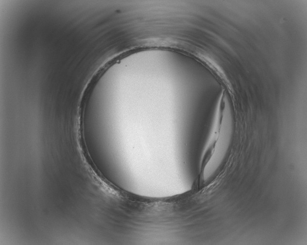 X0000073830992200608311904