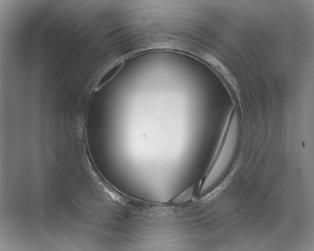 X0000073830993200608311904