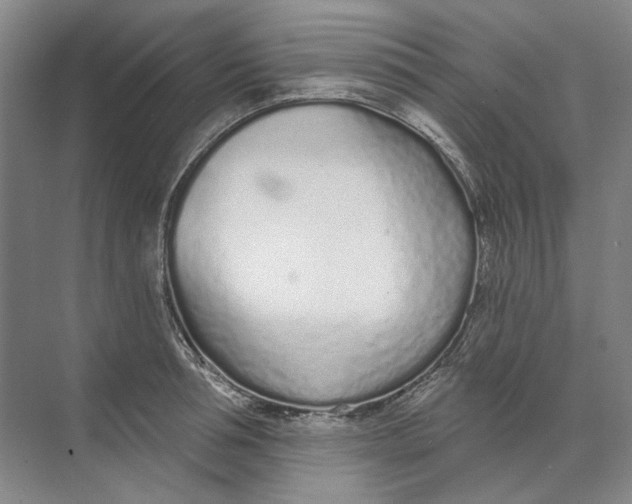 X0000073830994200608311904