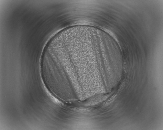 X0000073830995200608311904