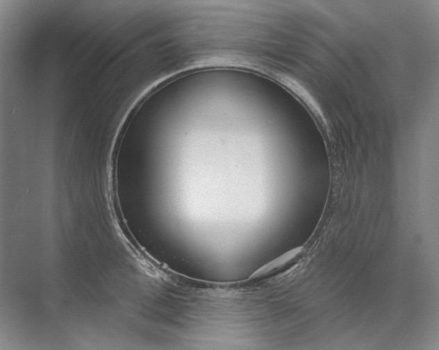 X0000073830996200608311904