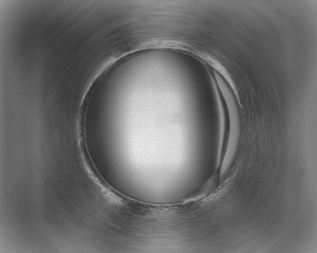 X0000073830997200608311904